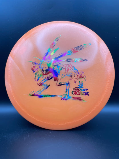 Discraft - Cicada - Big Z